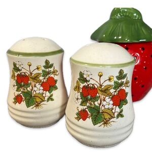 Vintage strawberry plant Salt & Pepper shakers 🍓